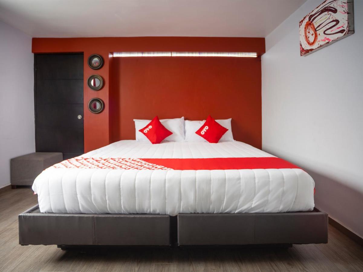 Adhoc Express Hotell Monterrey Eksteriør bilde