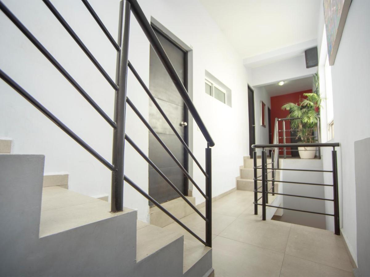 Adhoc Express Hotell Monterrey Eksteriør bilde
