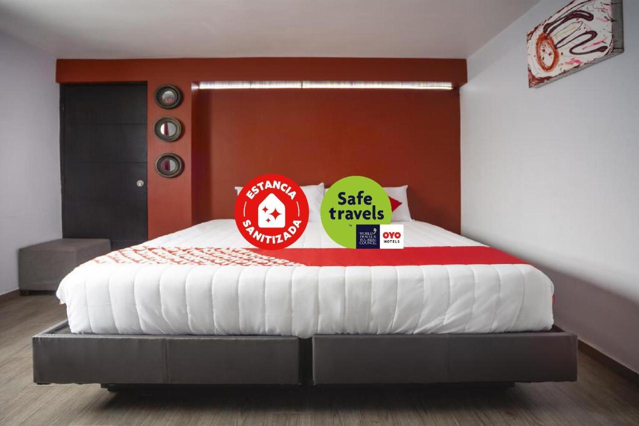 Adhoc Express Hotell Monterrey Eksteriør bilde