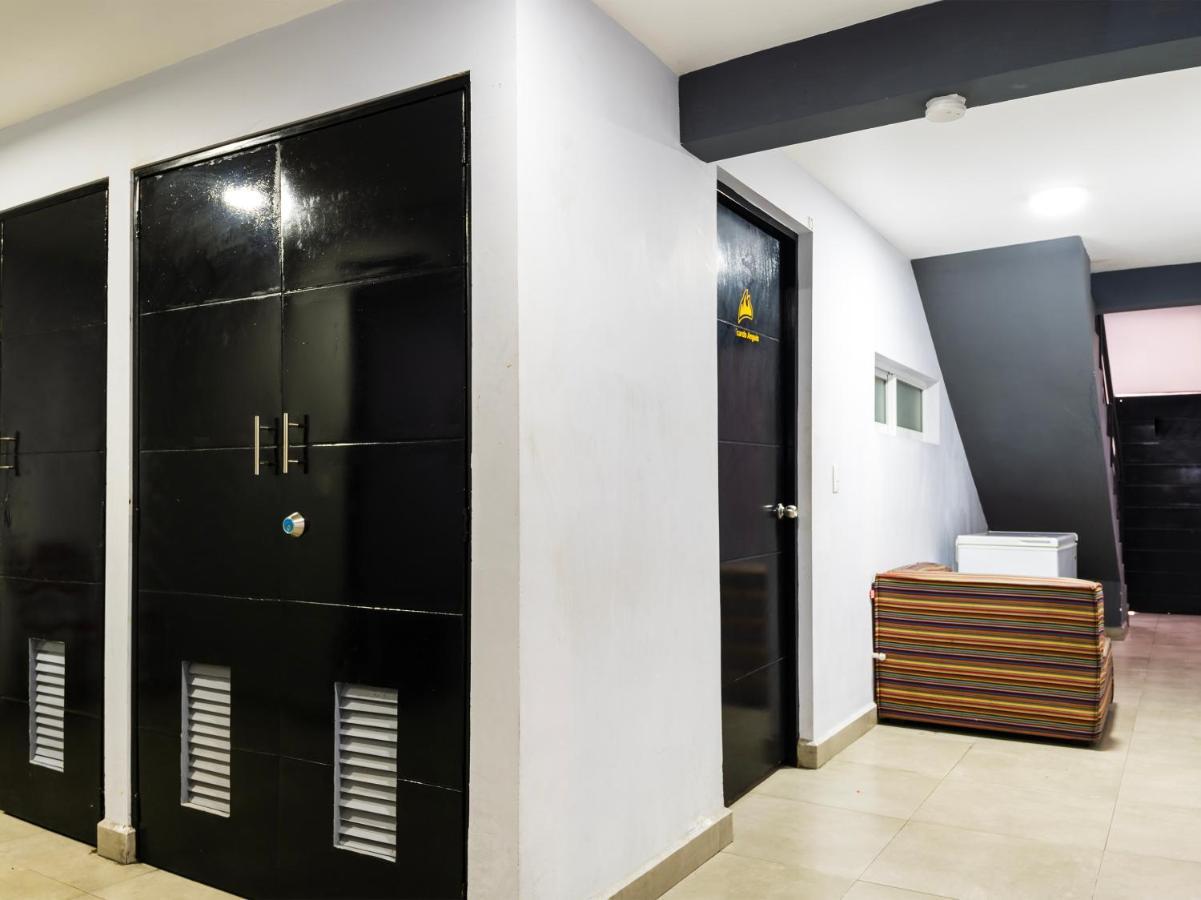 Adhoc Express Hotell Monterrey Eksteriør bilde